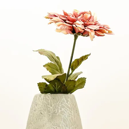 Apartment Illyria 721 *