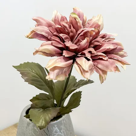 Illyria 721 * Durres